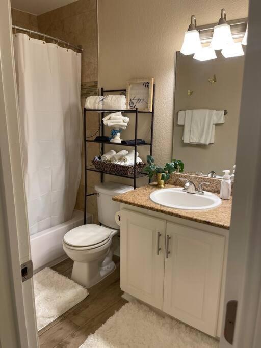 Beautiful/Spacious 2 Bedroom Houston Near Galleria Екстер'єр фото