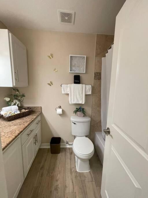 Beautiful/Spacious 2 Bedroom Houston Near Galleria Екстер'єр фото