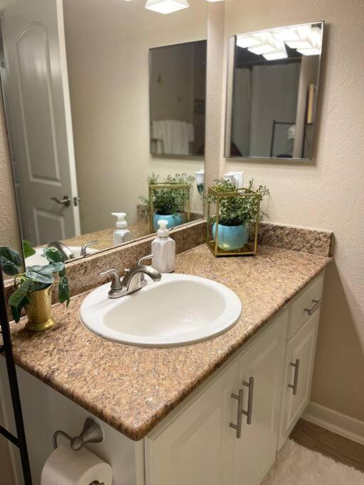 Beautiful/Spacious 2 Bedroom Houston Near Galleria Екстер'єр фото
